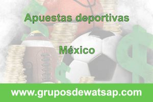 grupo de whatsap apuestas deportivas Mexico