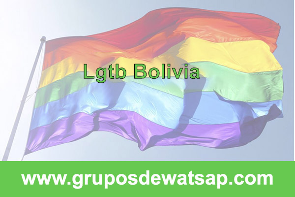 grupo de whatsapp lgtb Bolivia