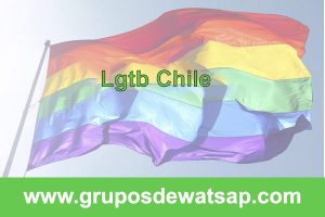 grupo de whatsapp lgtb Chile