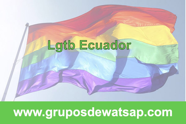 grupo de whtasapp lgtb Ecuador